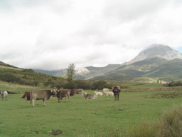 Valverde de la Sierra